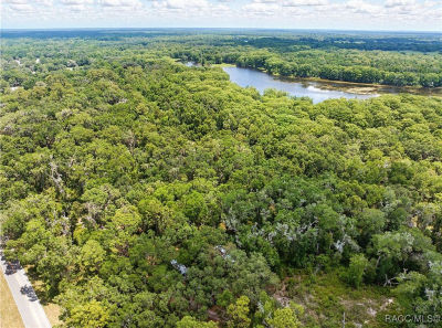 0 Lingle Rd Brooksville, FL 34601