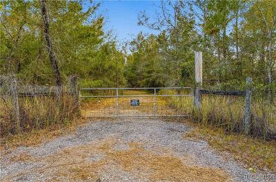 0 Backwoods Way Brooksville, FL 34614