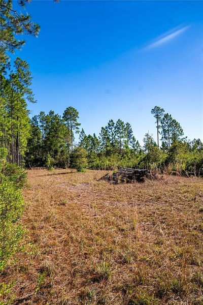 101 Thyme Dr #23 Interlachen, FL 32148