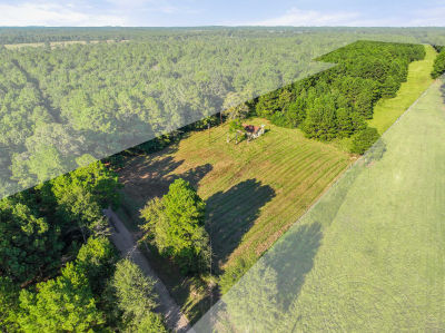545 County Road 4224, Troup, TX 75789, USA