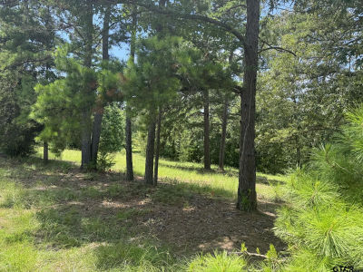 19488 Copperoaks Dr Tyler, TX 75703