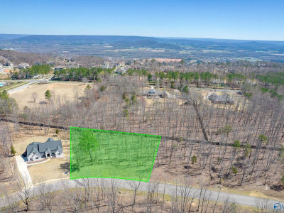 9 Winter Walk Way SE Huntsville, AL 35803