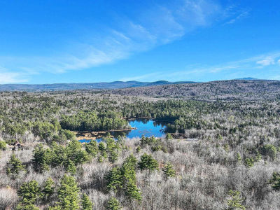 0 Windsor Rd Hillsborough, NH 03244