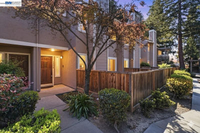 3867 Burton Cmn Fremont, CA 94536