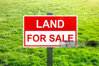236 S 11th Ave Highland Park, NJ 08904