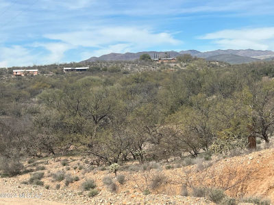 0 W Calle Ocho #115 Green Valley, AZ 85622