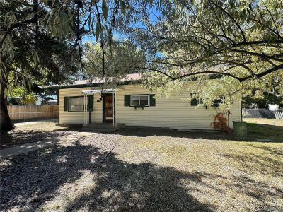 118 N San Juan Ave Buena Vista, CO 81211