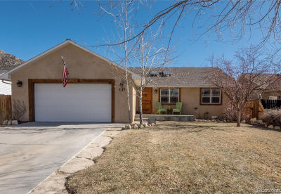 137 Brady Rd Buena Vista, CO 81211