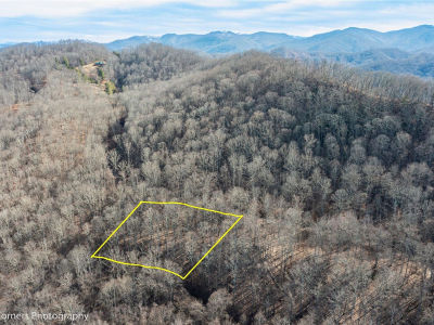 99999 Little Pond Pass #E21 Mars Hill, NC 28754