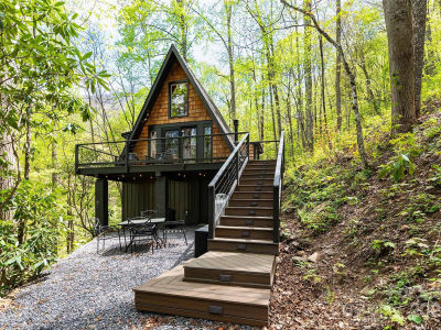 59 Lost Cv Waynesville, NC 28785