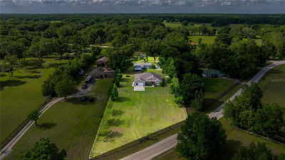 465 NE 155th Street Rd Citra, FL 32113