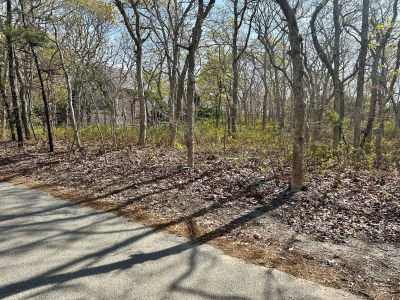 11 Boylston Dr Edgartown, MA 02539