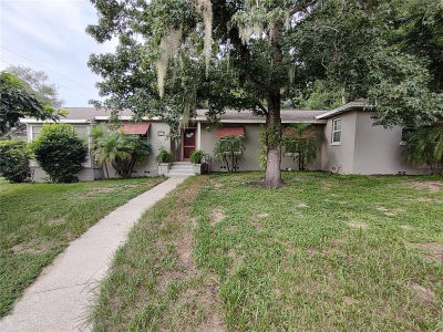 995 W 11th Ave Mount Dora, FL 32757