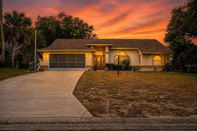 33939 Valencia Dr Leesburg, FL 34788