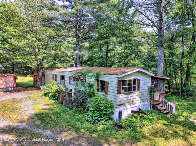 66 Hideaway Rd Palenville, NY 12463