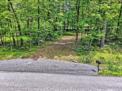 268 Potic Mountain Rd Catskill, NY 12414