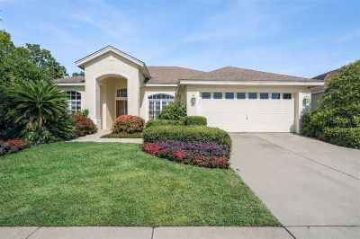 8032 Pine Hollow Dr Mount Dora, FL 32757