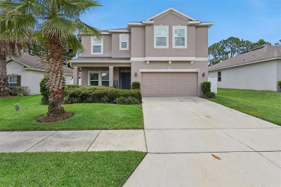 2514 Plumadore Dr Grand Island, FL 32735