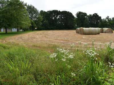 LOT 7 Brandermill Monett, MO 65708