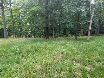 3-31 32 Mill Creek Shrs Lampe, MO 65681