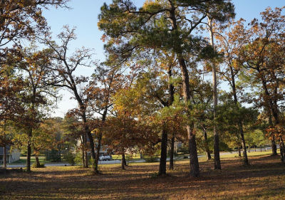 26 Hillsborough Dr Huntsville, TX 77340