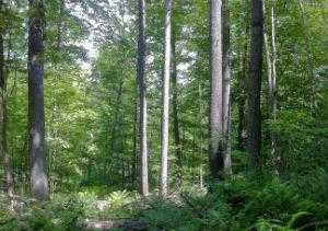 844 Crystal Rock Road, Lusby, MD, USA