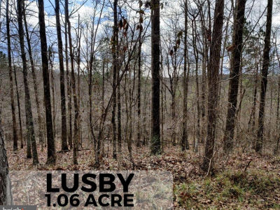 7782 Orchard Ln Lusby, MD 20657