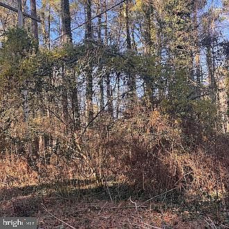 330 Lessin Dr Lusby, MD 20657