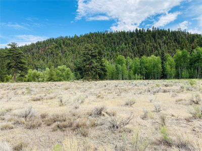 7 Massey Creek Rd #7 Antonito, CO 81120