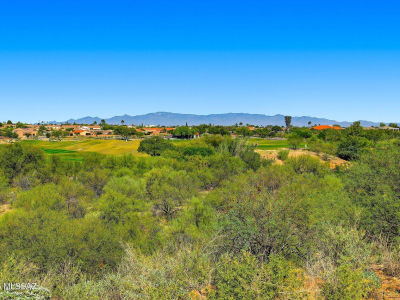 1888 W Demetrie Loop Green Valley, AZ 85622