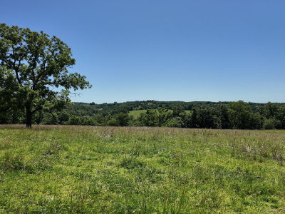 0 County Road 945 Thornfield, MO 65762