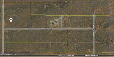 S Silver Concho Way #2 Hereford, AZ 85615