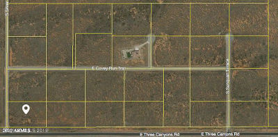 E Three Canyons Rd #26 Hereford, AZ 85615