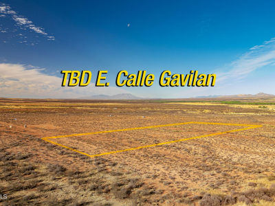 E Calle Gavilan #51 Hereford, AZ 85615