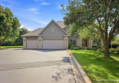 8420 Saint Moritz Dr Spring Grove, IL 60081