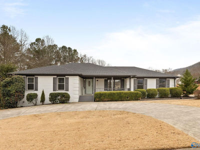 121 Tessie Dr SE Owens Cross Roads, AL 35763