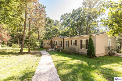 4580 Cissal Hill Rd New Haven, KY 40051