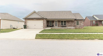 234 Royal Birkdale Ct Vine Grove, KY 40175