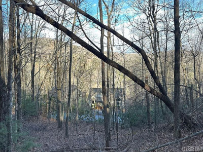 91 Bald Eagle Ct Sapphire, NC 28774