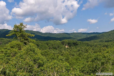 98 Blazing Star Dr Glenville, NC 28736