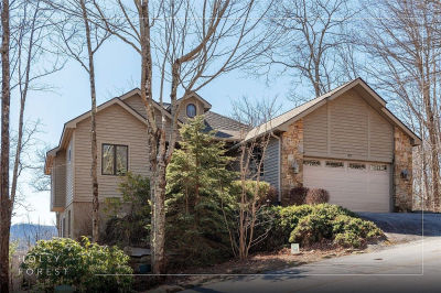 193 Birdnest Rd Sapphire, NC 28774