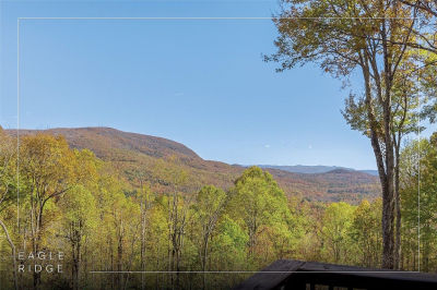363 Eagle Ridge Rd Sapphire, NC 28774