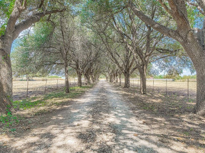 10026 Fm 1660 Hutto, TX 78634