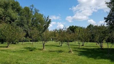 5548 W Heatherbrook Trl Monee, IL 60449