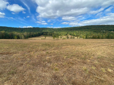 16810 State Route 7 N Dover, AR 72837