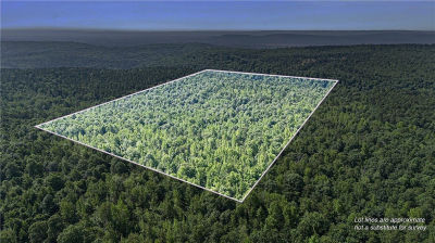 0 Bear Hollow Rd #20 Paris, AR 72855