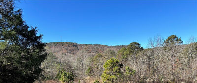 Quicker Still Ln #20 Dover, AR 72837