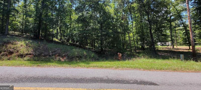 726 Marigold Rd Sparta, GA 31087