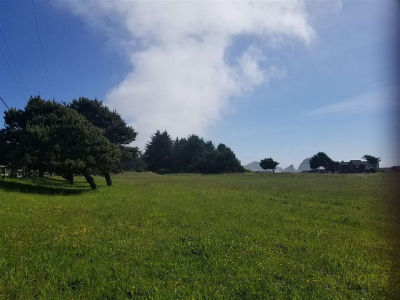 LOT 37 Sand Dune Way Smith River, CA 95567