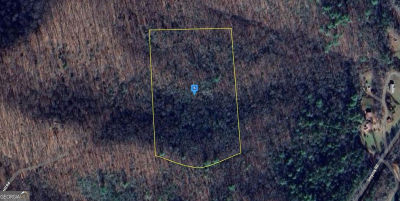 383 Smyrna Hls Young Harris, GA 30582